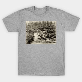 Misty mountain stream T-Shirt